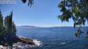 ./images/koeye/fitz-hugh/20250607/fitz-hugh20250607_144010M.jpg