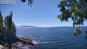 ./images/koeye/fitz-hugh/20250607/fitz-hugh20250607_144510M.jpg