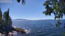 ./images/koeye/fitz-hugh/20250607/fitz-hugh20250607_145011M.jpg