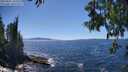 ./images/koeye/fitz-hugh/20250607/fitz-hugh20250607_145509M.jpg