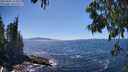 ./images/koeye/fitz-hugh/20250607/fitz-hugh20250607_151010M.jpg