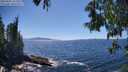 ./images/koeye/fitz-hugh/20250607/fitz-hugh20250607_151510M.jpg