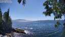 ./images/koeye/fitz-hugh/20250607/fitz-hugh20250607_153011M.jpg