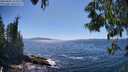 ./images/koeye/fitz-hugh/20250607/fitz-hugh20250607_153510M.jpg