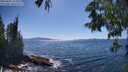 ./images/koeye/fitz-hugh/20250607/fitz-hugh20250607_155010M.jpg