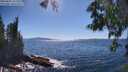 ./images/koeye/fitz-hugh/20250607/fitz-hugh20250607_155510M.jpg