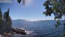 ./images/koeye/fitz-hugh/20250607/fitz-hugh20250607_161011M.jpg