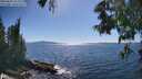 ./images/koeye/fitz-hugh/20250607/fitz-hugh20250607_162509M.jpg
