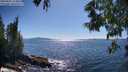 ./images/koeye/fitz-hugh/20250607/fitz-hugh20250607_163010M.jpg