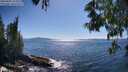 ./images/koeye/fitz-hugh/20250607/fitz-hugh20250607_163510M.jpg