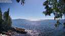 ./images/koeye/fitz-hugh/20250607/fitz-hugh20250607_164010M.jpg