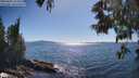 ./images/koeye/fitz-hugh/20250607/fitz-hugh20250607_164511M.jpg