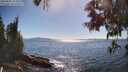 ./images/koeye/fitz-hugh/20250607/fitz-hugh20250607_165010M.jpg