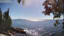 ./images/koeye/fitz-hugh/20250607/fitz-hugh20250607_165510M.jpg