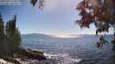 ./images/koeye/fitz-hugh/20250607/fitz-hugh20250607_170012M.jpg