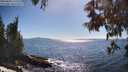 ./images/koeye/fitz-hugh/20250607/fitz-hugh20250607_170510M.jpg