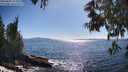 ./images/koeye/fitz-hugh/20250607/fitz-hugh20250607_171011M.jpg