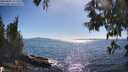 ./images/koeye/fitz-hugh/20250607/fitz-hugh20250607_171511M.jpg
