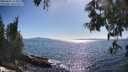 ./images/koeye/fitz-hugh/20250607/fitz-hugh20250607_172010M.jpg
