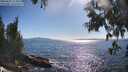 ./images/koeye/fitz-hugh/20250607/fitz-hugh20250607_173011M.jpg