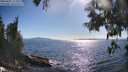 ./images/koeye/fitz-hugh/20250607/fitz-hugh20250607_173509M.jpg