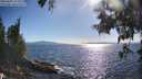 ./images/koeye/fitz-hugh/20250607/fitz-hugh20250607_174511M.jpg