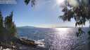./images/koeye/fitz-hugh/20250607/fitz-hugh20250607_175509M.jpg