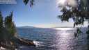 ./images/koeye/fitz-hugh/20250607/fitz-hugh20250607_181010M.jpg