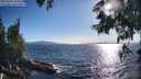 ./images/koeye/fitz-hugh/20250607/fitz-hugh20250607_184011M.jpg