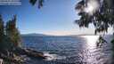 ./images/koeye/fitz-hugh/20250607/fitz-hugh20250607_185508M.jpg