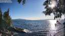 ./images/koeye/fitz-hugh/20250607/fitz-hugh20250607_190508M.jpg