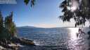 ./images/koeye/fitz-hugh/20250607/fitz-hugh20250607_191007M.jpg