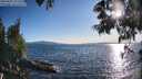 ./images/koeye/fitz-hugh/20250607/fitz-hugh20250607_191508M.jpg