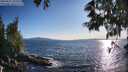 ./images/koeye/fitz-hugh/20250607/fitz-hugh20250607_192009M.jpg