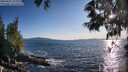 ./images/koeye/fitz-hugh/20250607/fitz-hugh20250607_193509M.jpg