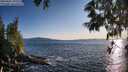 ./images/koeye/fitz-hugh/20250607/fitz-hugh20250607_195508M.jpg