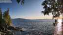 ./images/koeye/fitz-hugh/20250607/fitz-hugh20250607_201509M.jpg