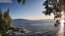 ./images/koeye/fitz-hugh/20250607/fitz-hugh20250607_202507M.jpg
