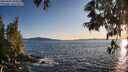 ./images/koeye/fitz-hugh/20250607/fitz-hugh20250607_203008M.jpg