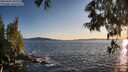 ./images/koeye/fitz-hugh/20250607/fitz-hugh20250607_203509M.jpg