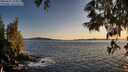 ./images/koeye/fitz-hugh/20250607/fitz-hugh20250607_210009M.jpg