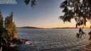 ./images/koeye/fitz-hugh/20250607/fitz-hugh20250607_211009M.jpg