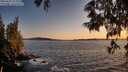 ./images/koeye/fitz-hugh/20250607/fitz-hugh20250607_212509M.jpg