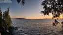 ./images/koeye/fitz-hugh/20250607/fitz-hugh20250607_213506M.jpg