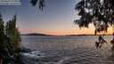 ./images/koeye/fitz-hugh/20250607/fitz-hugh20250607_215009M.jpg