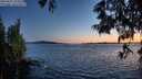 ./images/koeye/fitz-hugh/20250607/fitz-hugh20250607_222008M.jpg