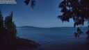 ./images/koeye/fitz-hugh/20250608/fitz-hugh20250608_042009M.jpg