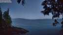 ./images/koeye/fitz-hugh/20250608/fitz-hugh20250608_043009M.jpg