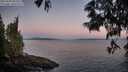 ./images/koeye/fitz-hugh/20250608/fitz-hugh20250608_050509M.jpg