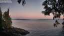 ./images/koeye/fitz-hugh/20250608/fitz-hugh20250608_051009M.jpg